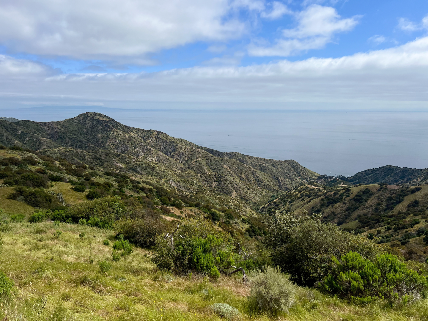 An image depicting the trail Trans Catalina Trail - Raggers Point and its surrounding area.