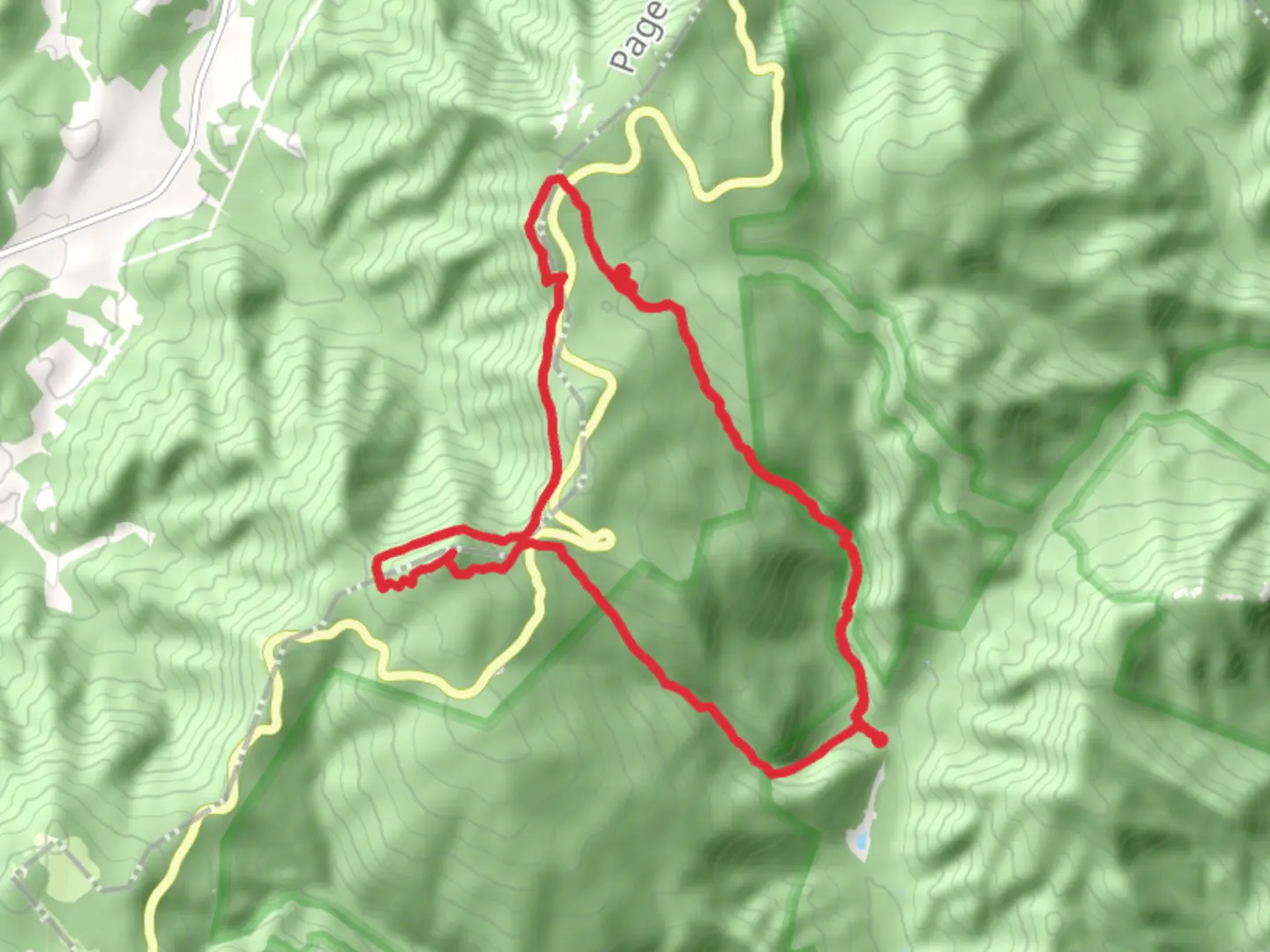 An image depicting the trail Cedar Run, Hawksbill and White Oak Canyon Loop Trail and its surrounding area.