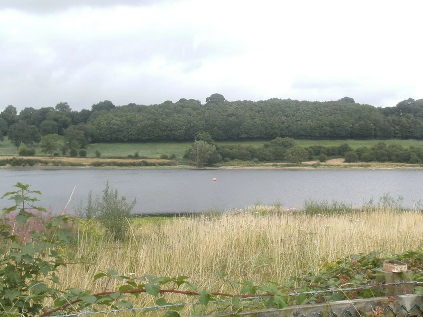 An image depicting the trail Pinxton, Wooley and Alfreton Loop via Ogston Reservoir and its surrounding area.