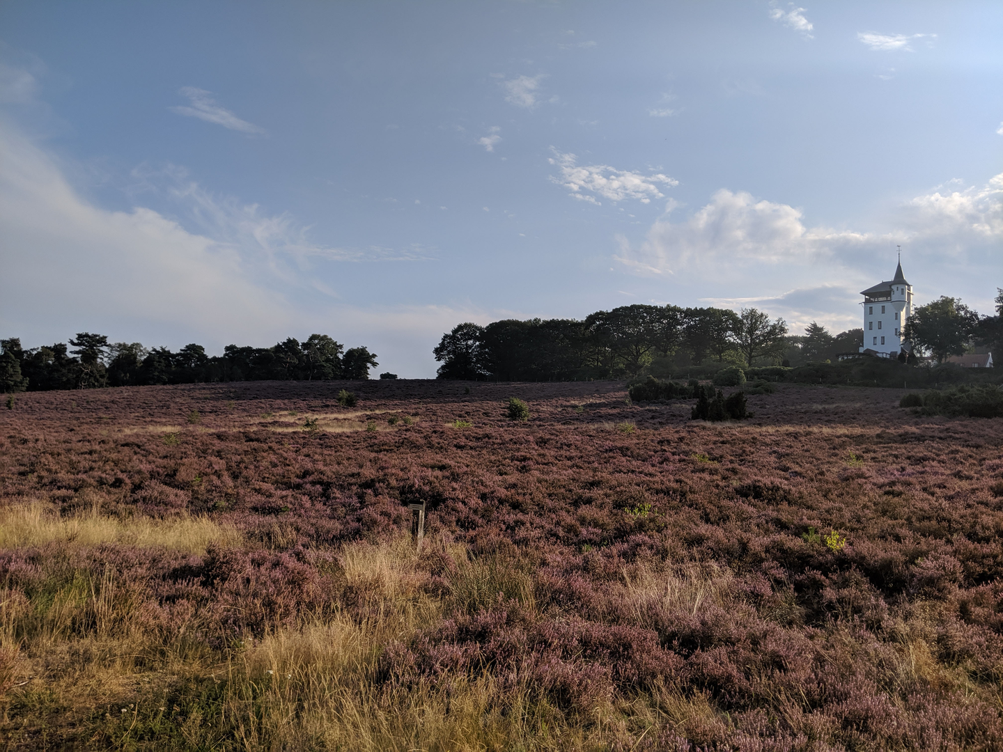 An image depicting the trail Noetselenberg, Boldergat and Koningsbelt Loop and its surrounding area.