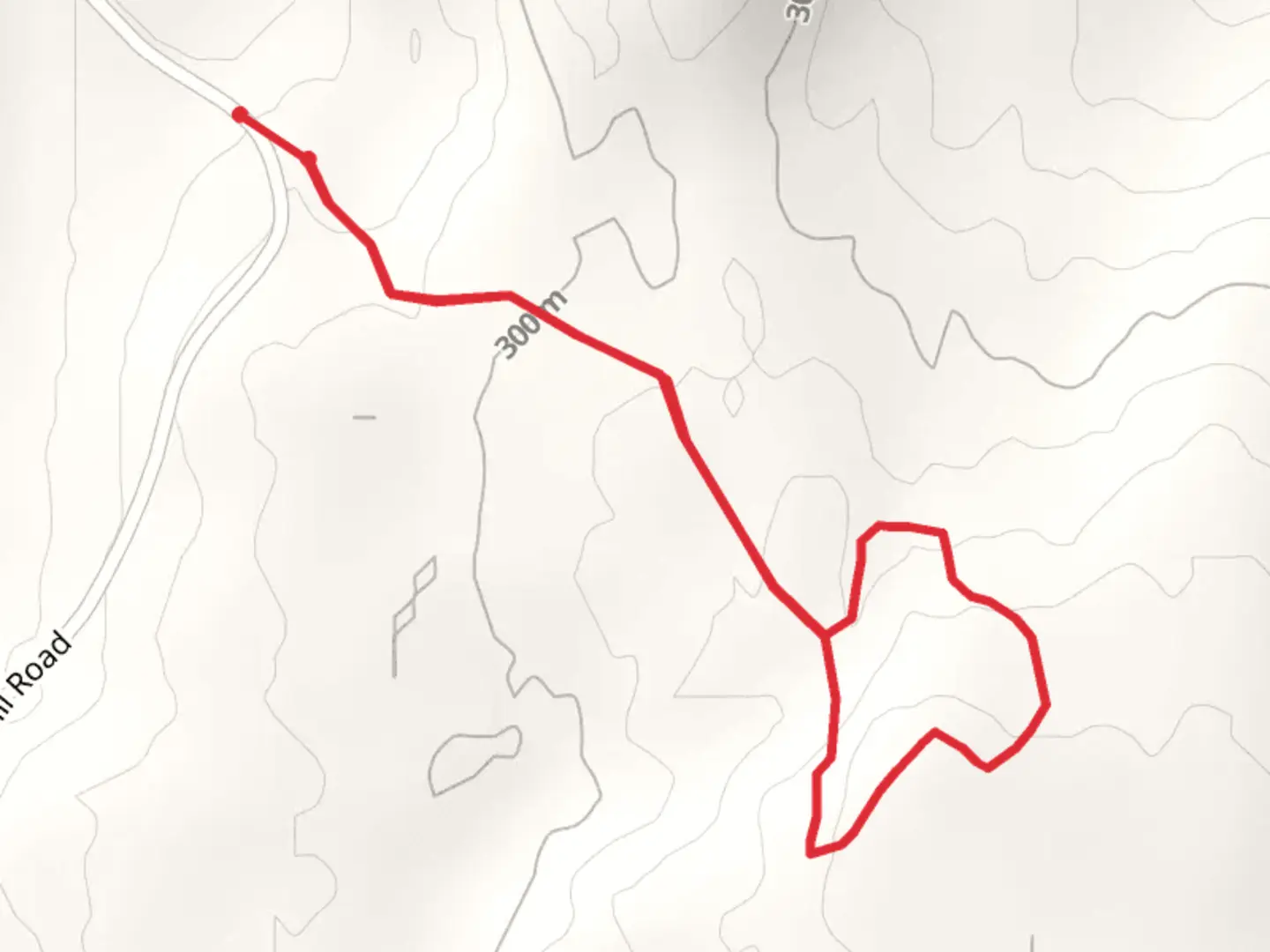 An image depicting the trail Briar Hill Road Loop and its surrounding area.