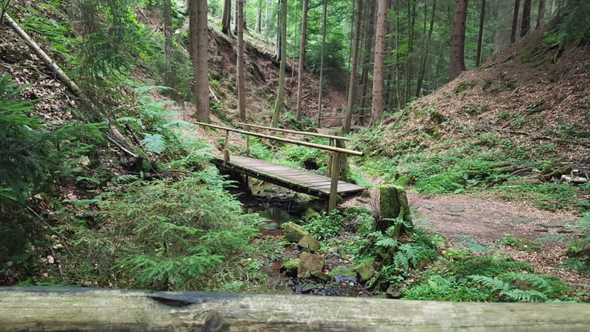 An image depicting the trail Lochbachklamm Loop and its surrounding area.