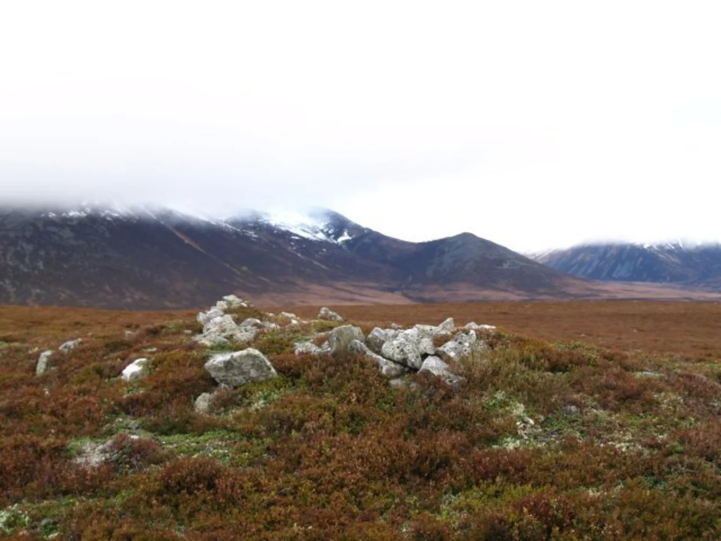 An image depicting the trail Quoich Valley Loop and its surrounding area.