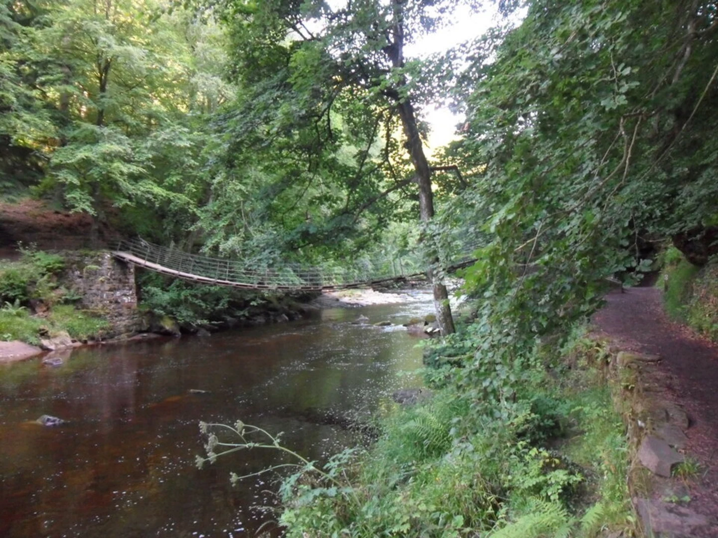 An image depicting the trail Allen Banks and Staward Gorge and its surrounding area.
