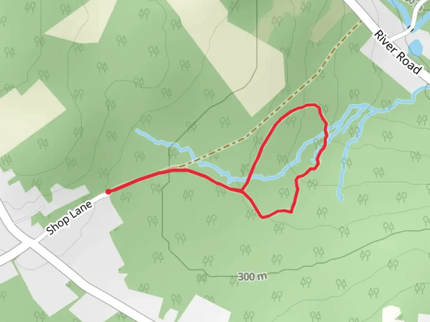 An image depicting the trail South Branch Preserve Loop and its surrounding area.