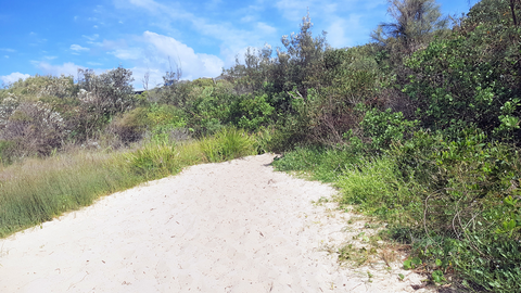 Moonee Beach Trail