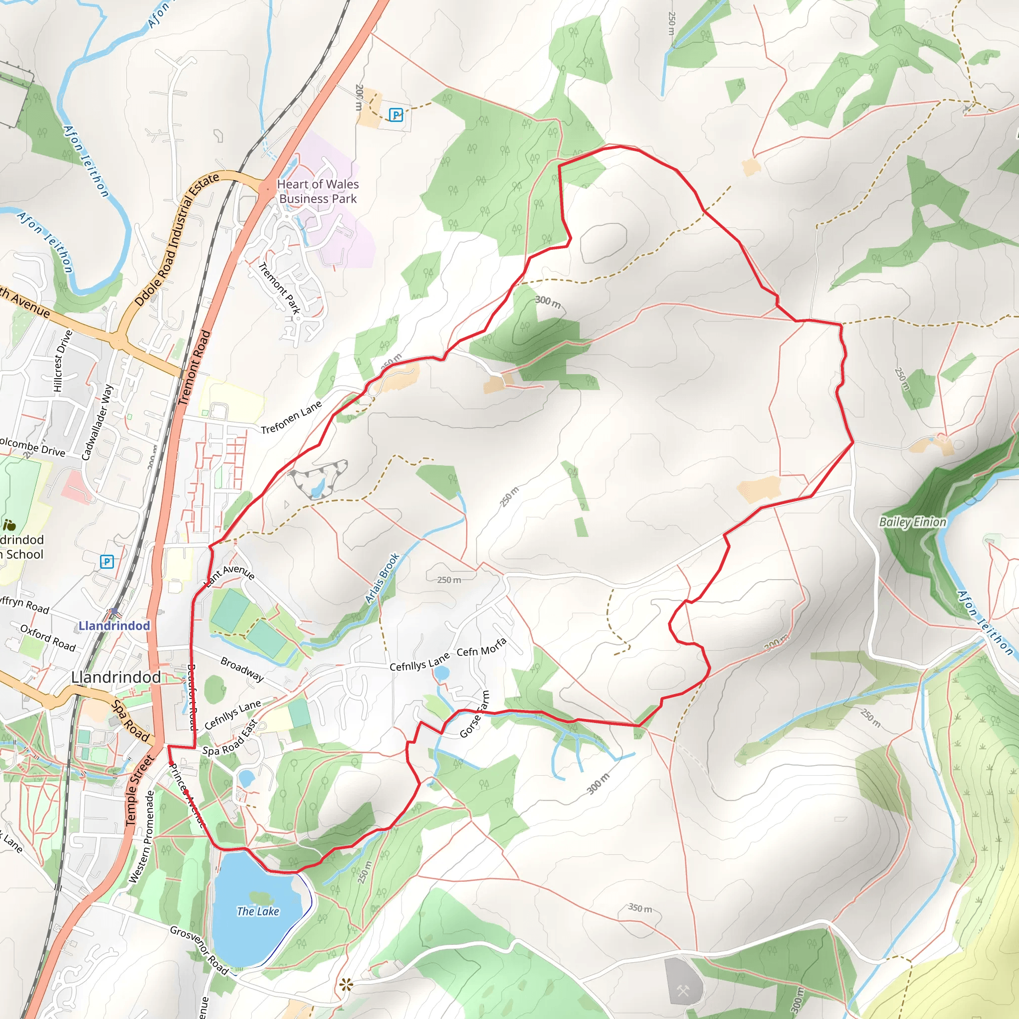 Llandrindod Wells - New Woodland Walk mobile static map