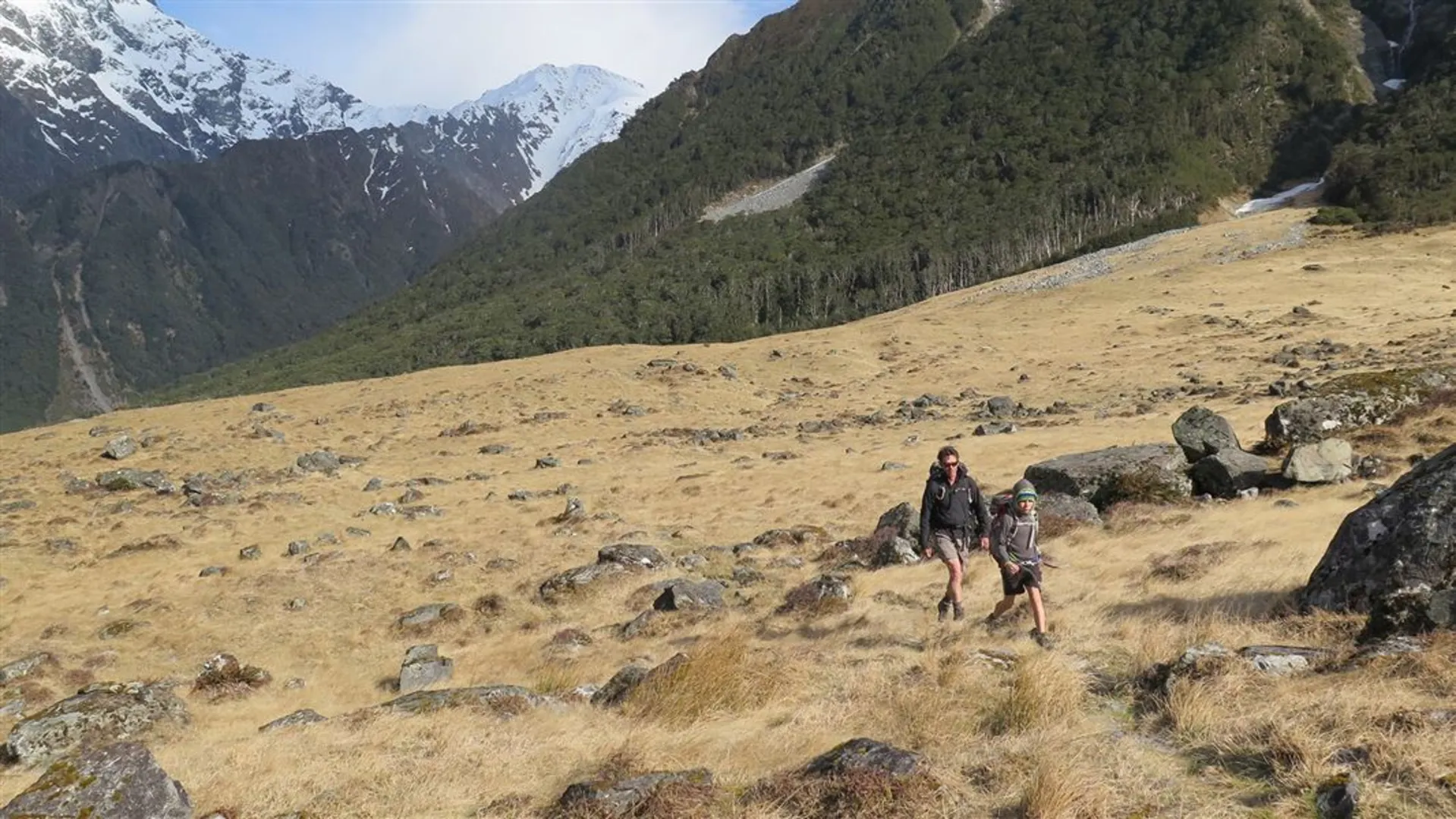 An image depicting the trail Huxley Valley Track - Ram Hill Carpark to South Huxley Biv and its surrounding area.