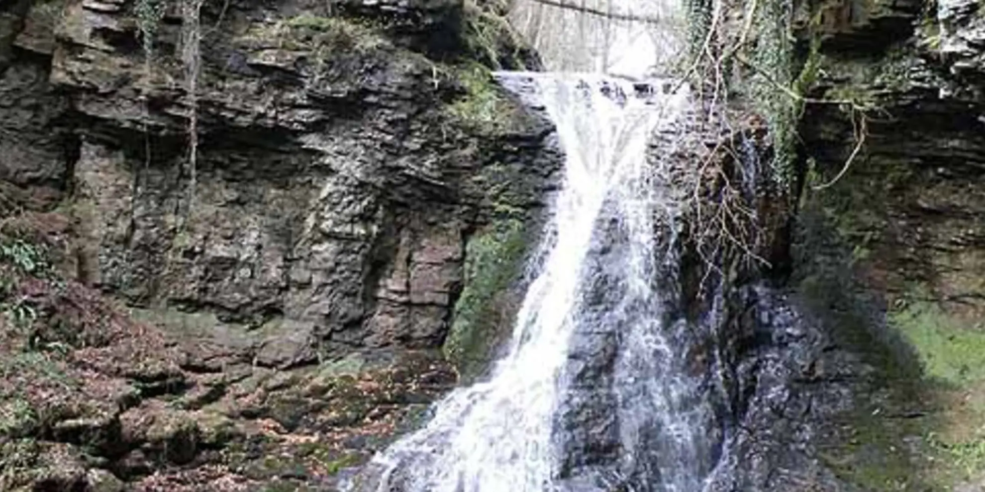 An image depicting the trail Hareshaw Linn Walk and its surrounding area.