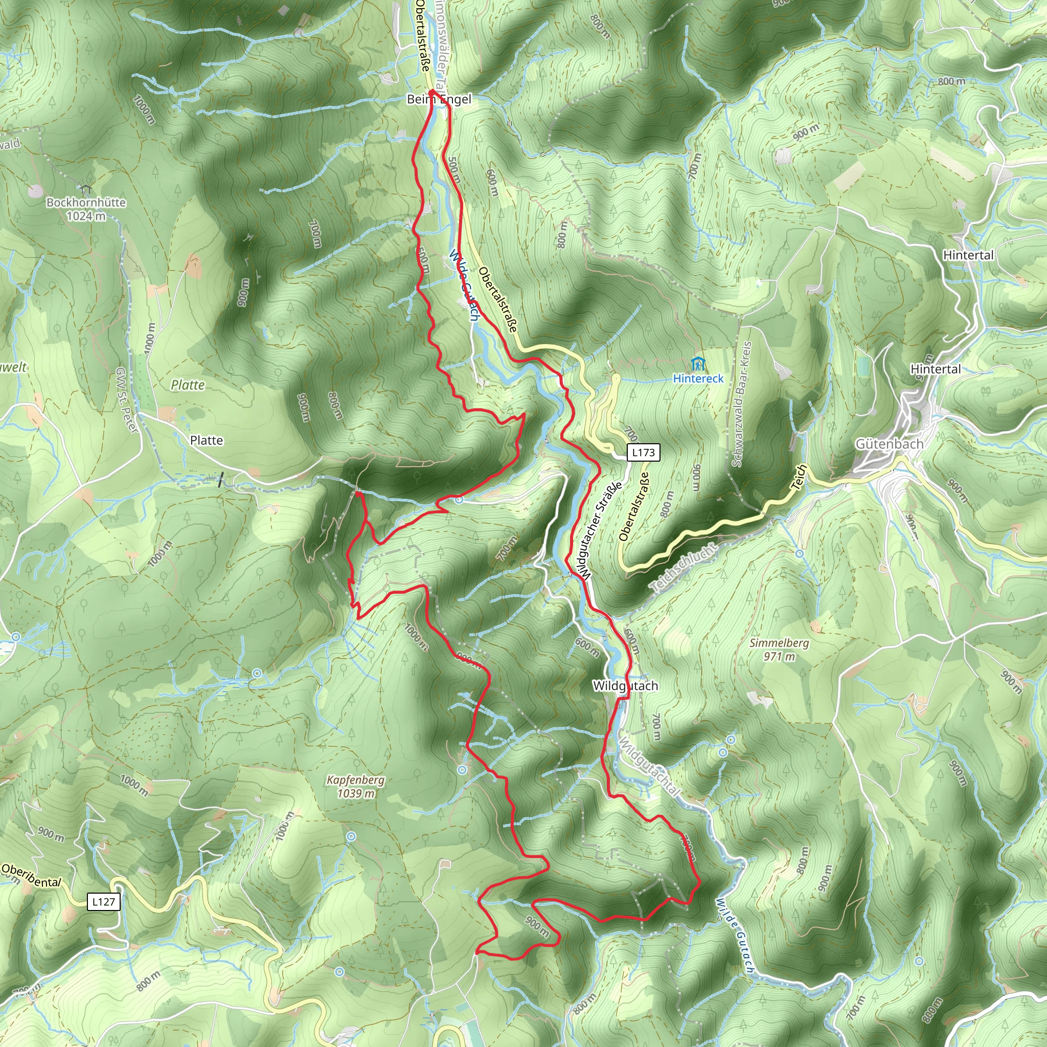 Beim Engel and Wildgutach Loop mobile static map