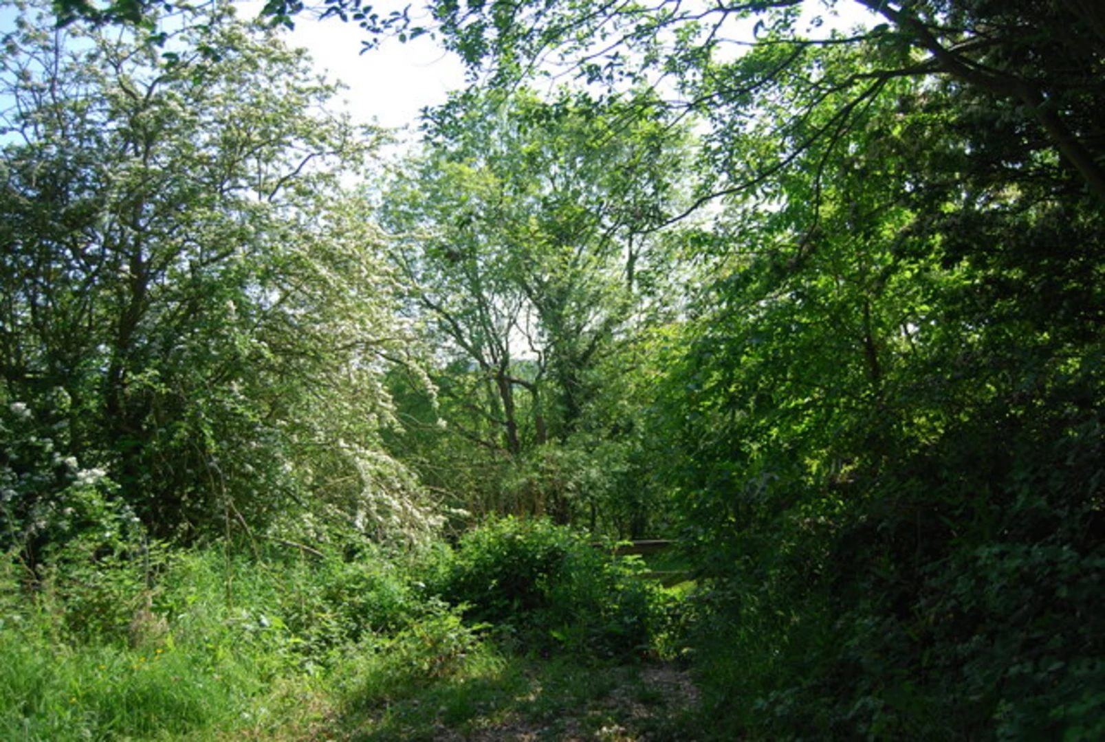 An image depicting the trail Robin Hood's Bay to Whitby Walk and its surrounding area.