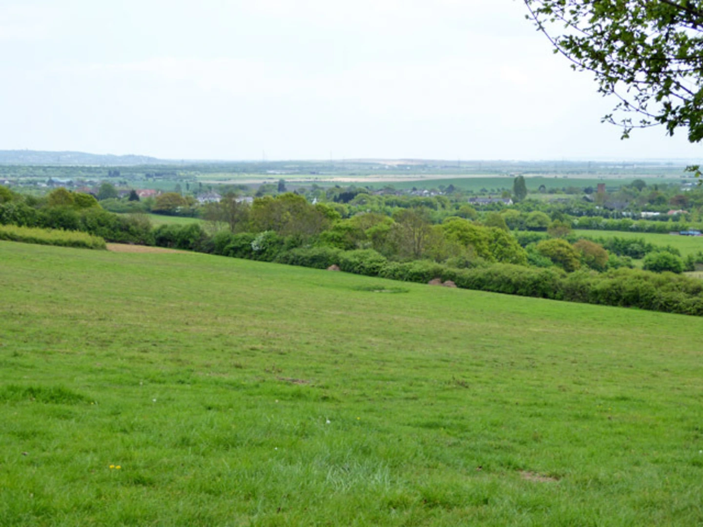 An image depicting the trail Langdon Hills Country Park and its surrounding area.