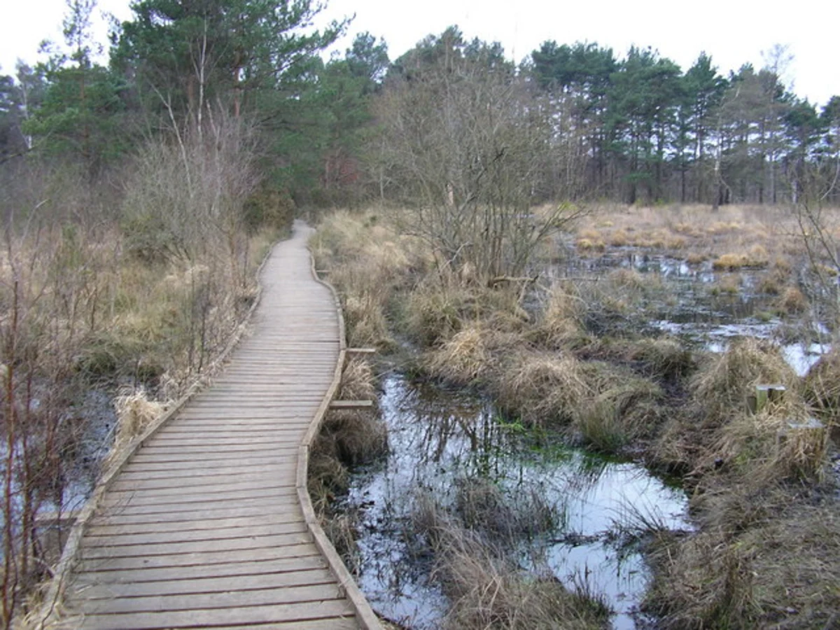 Sandhurst to Crowthorne Loop via Wellington College