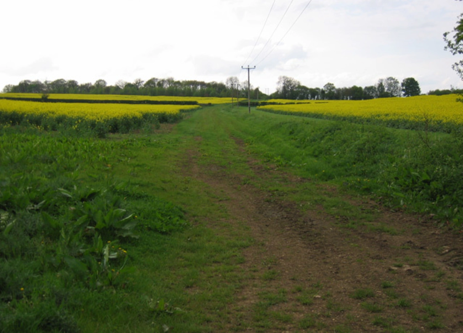 An image depicting the trail Finstock Loop and its surrounding area.