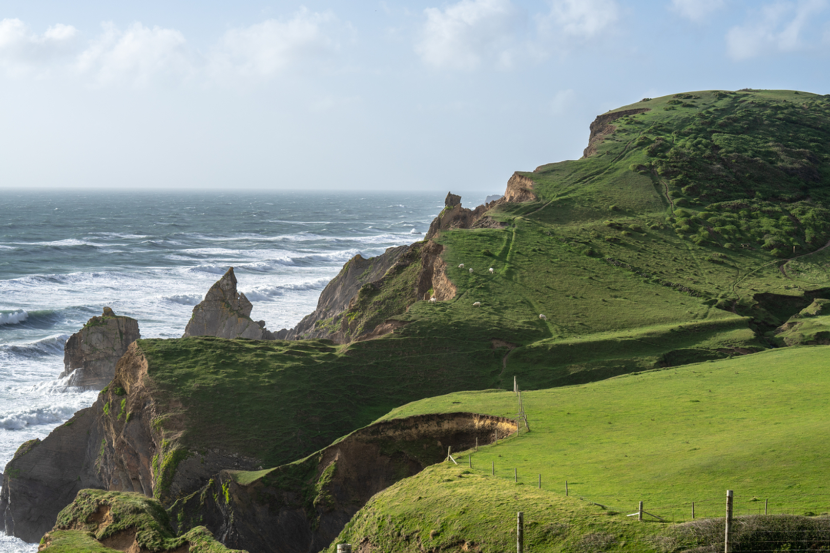 An image depicting the trail Sandymouth and Coombe Valley Walk and its surrounding area.