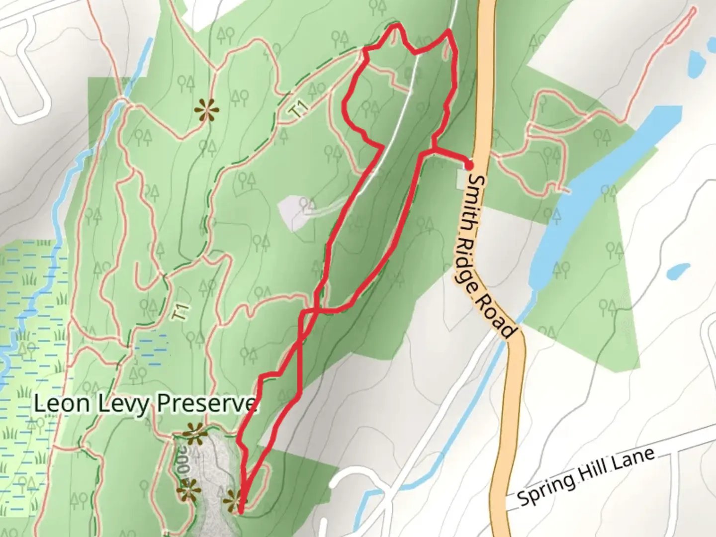 An image depicting the trail Leon Levy Preserve Loop and its surrounding area.