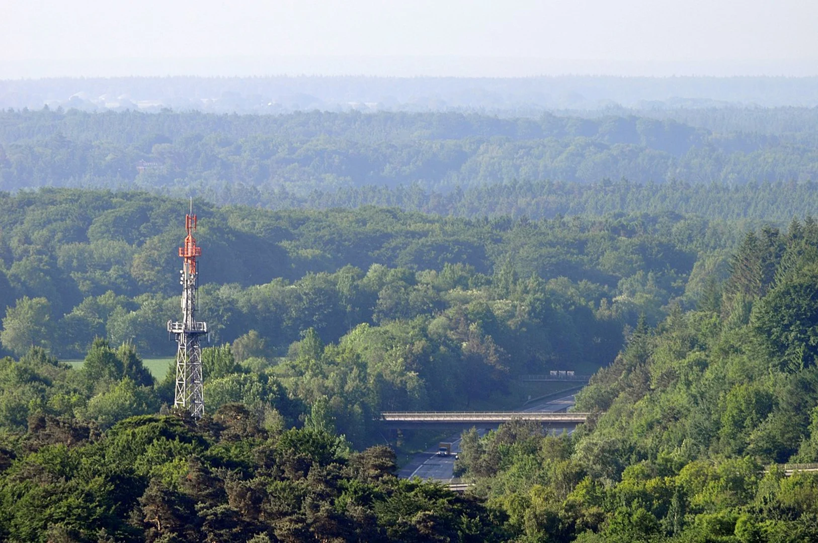 An image depicting the trail Wanderweg 24 Loop and its surrounding area.
