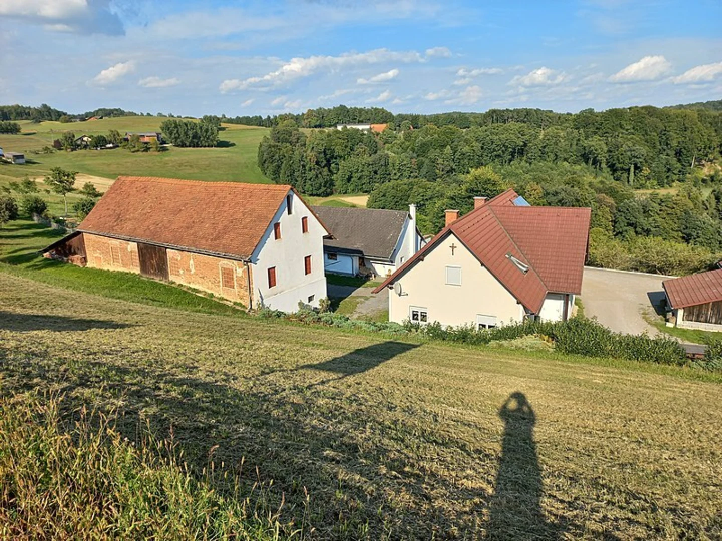 An image depicting the trail Tulpenwanderweg and its surrounding area.
