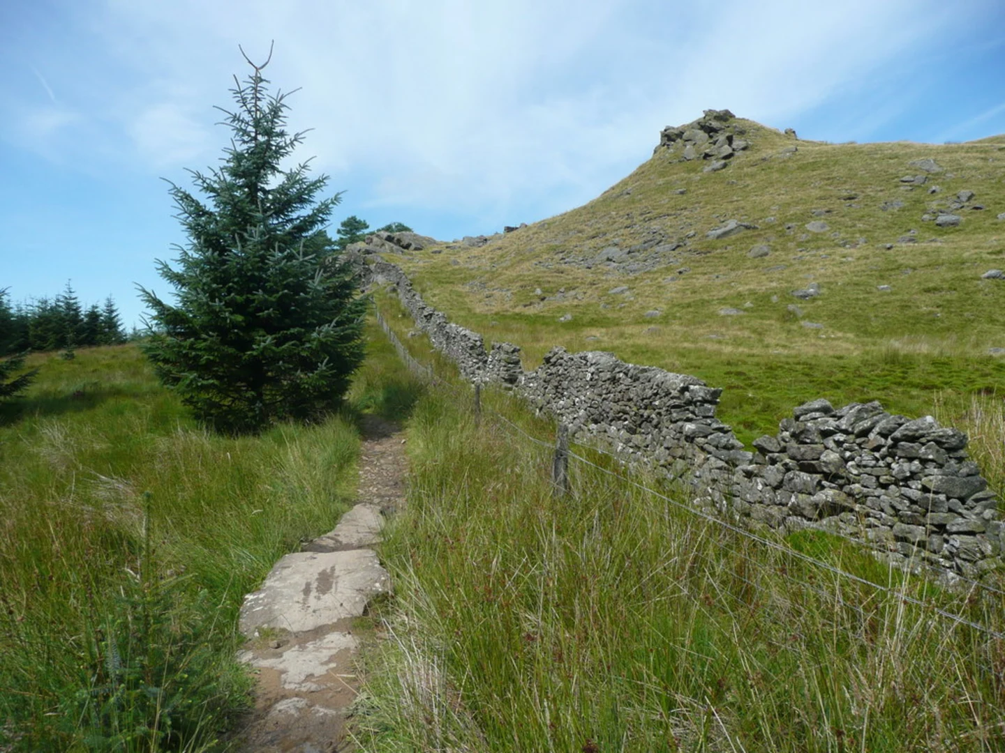 An image depicting the trail Loadpot Hill, Rampsgill Head, Raven Howe and High Raise via The Ullswater Way and its surrounding area.