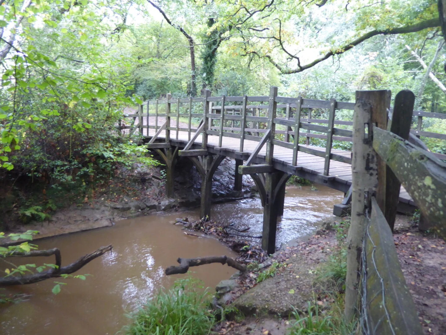 An image depicting the trail Bog Shaw, Fairy Door and Five Hundred Acre Wood and its surrounding area.