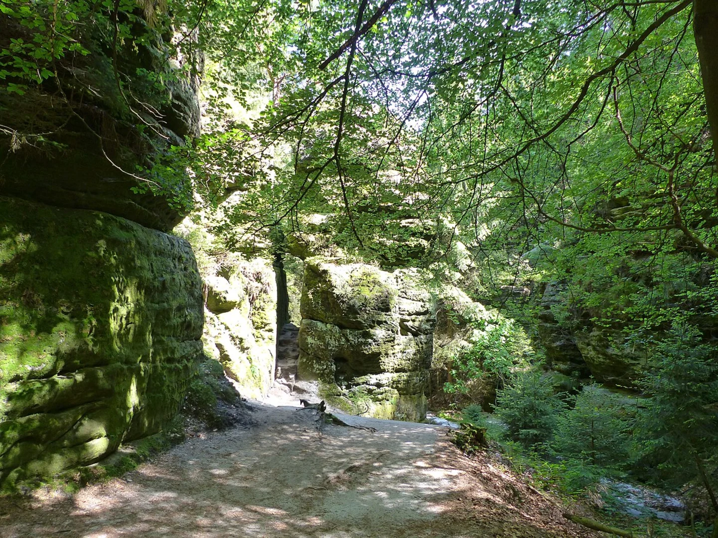 An image depicting the trail Pavillonaussicht via Gansweg, Schwedenlöcher and Gamrigweg and its surrounding area.