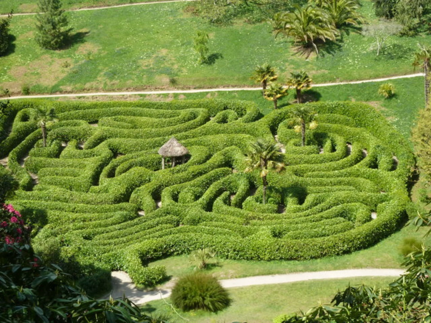 An image depicting the trail Glendurgan Garden Loop and its surrounding area.