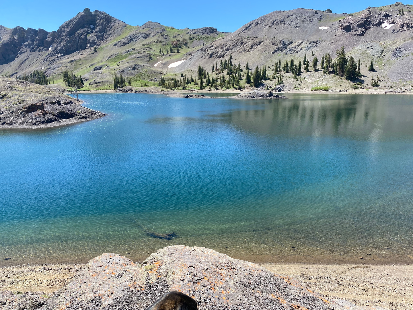 An image depicting the trail Lost Lake via North Fire Road and its surrounding area.