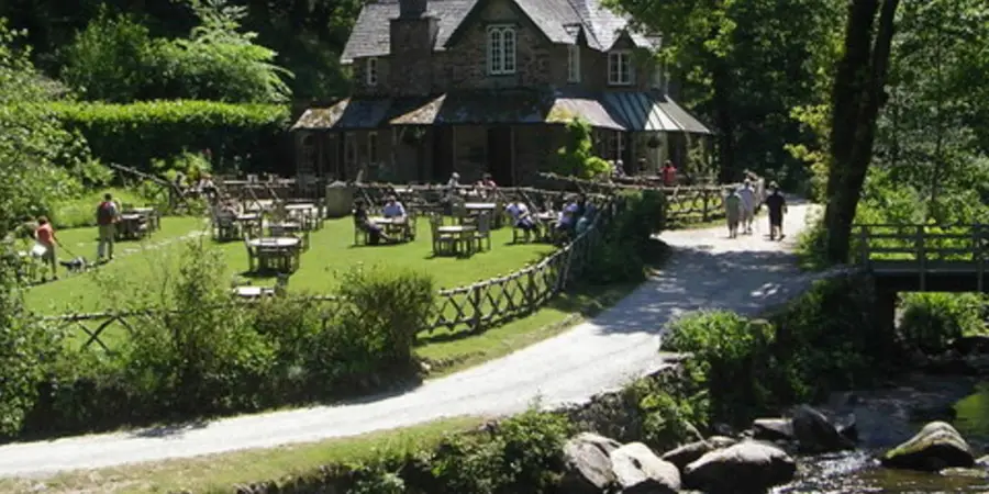 Shallowford - Hoar Oak Tree and The Chains