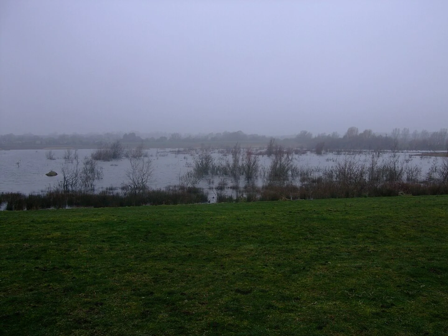 An image depicting the trail Lake 104 Loop and its surrounding area.
