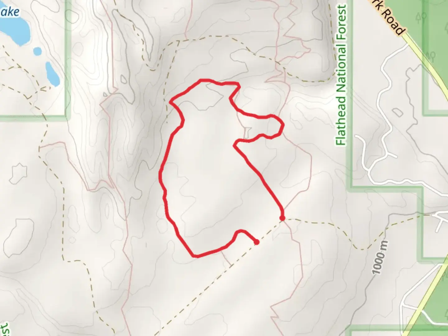 An image depicting the trail Waving Bear Trail and its surrounding area.