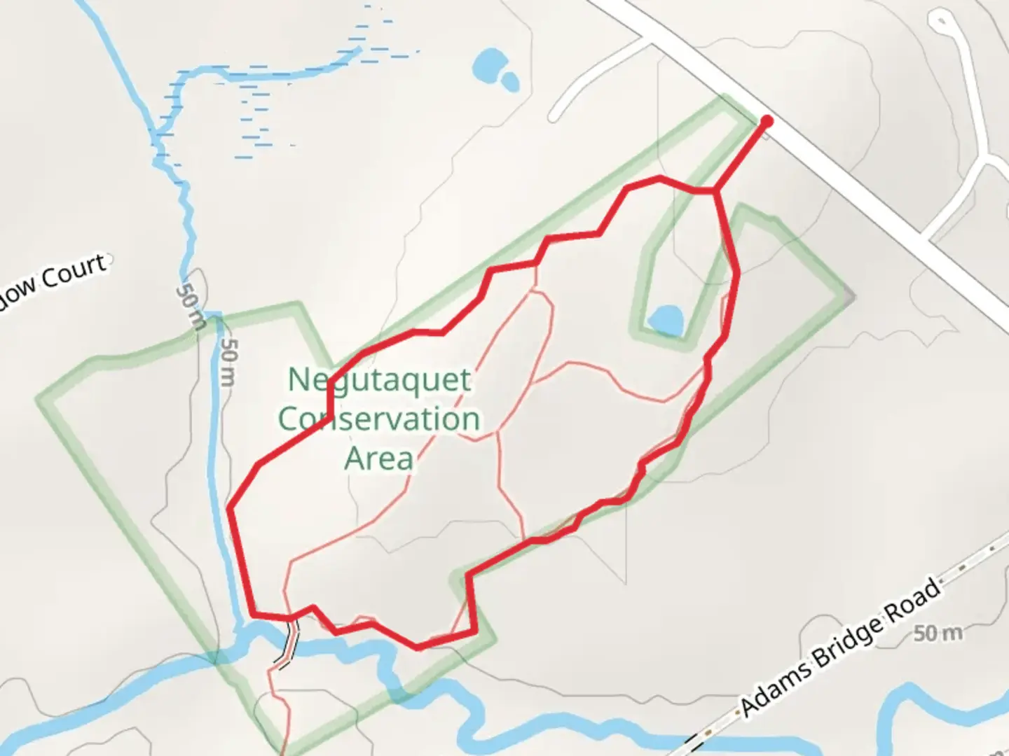 An image depicting the trail Negutaquet Preserve from Lebanon Road and its surrounding area.