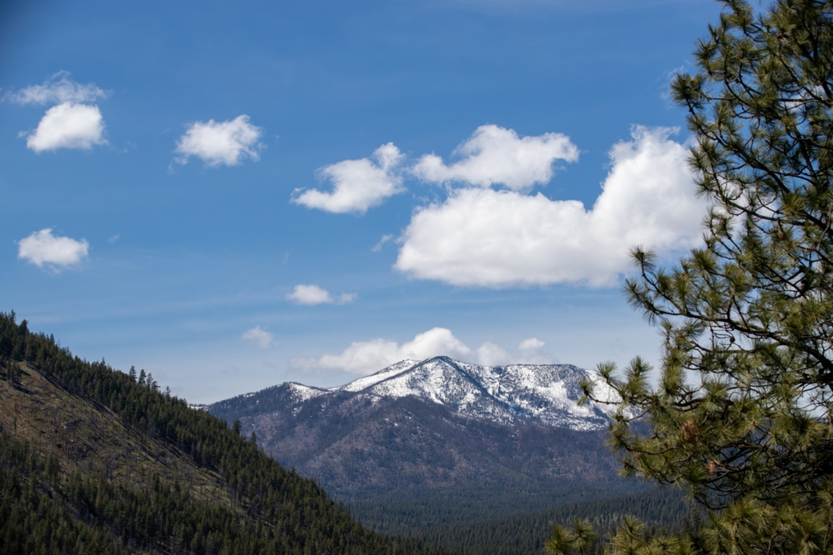 An image depicting the trail Angel Pass Trail and its surrounding area.