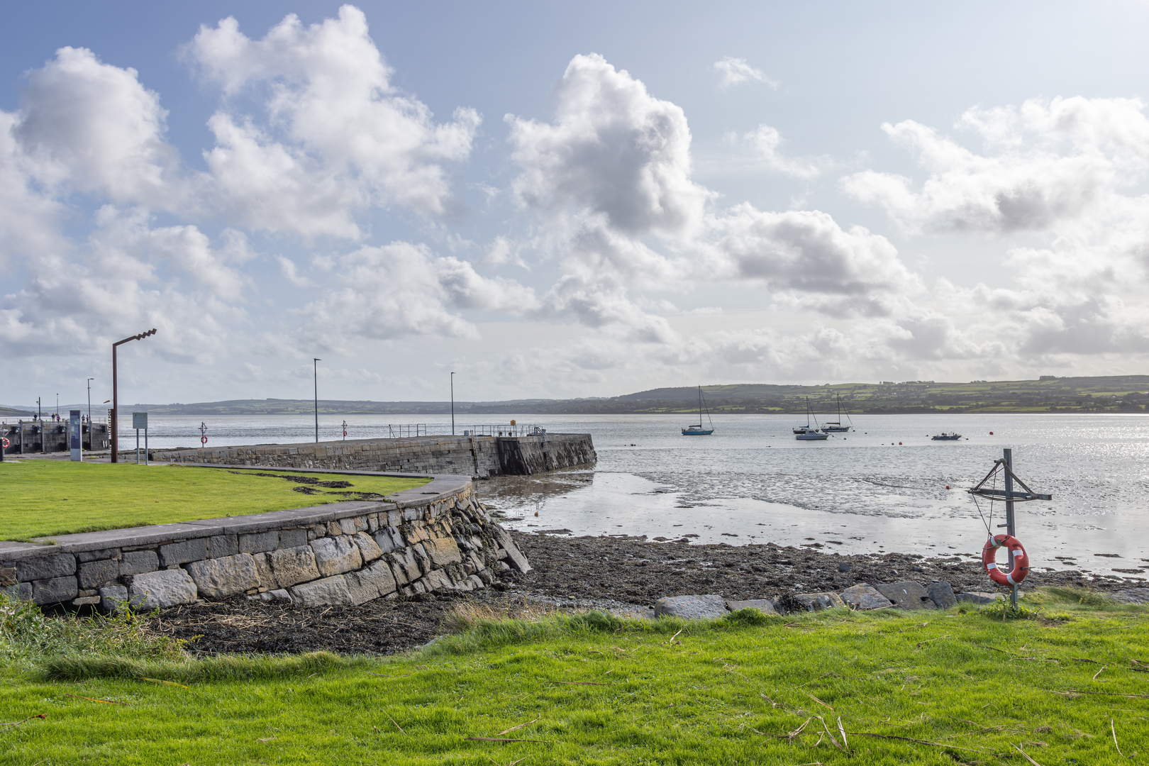 An image depicting the trail Shannon Way and its surrounding area.