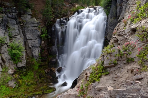 An image depicting the trail Sifford Lakes Trail and its surrounding area.