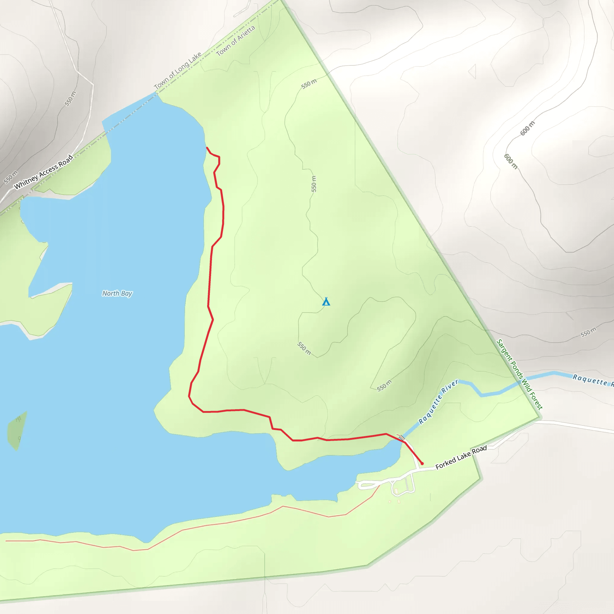 Forked Lake from Forked Lake Road mobile static map