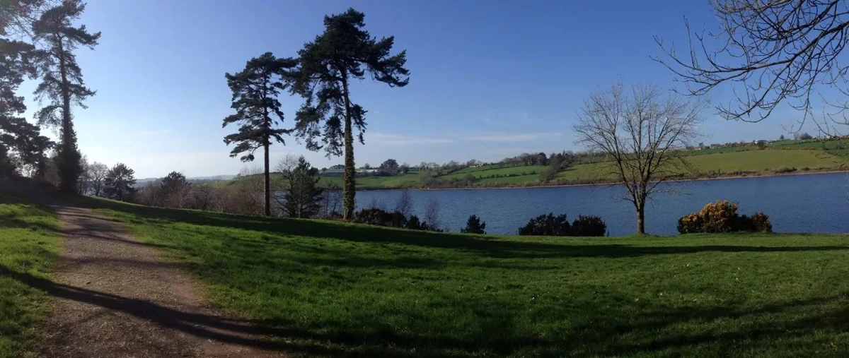 Farran Forest Park - Woodland Loop