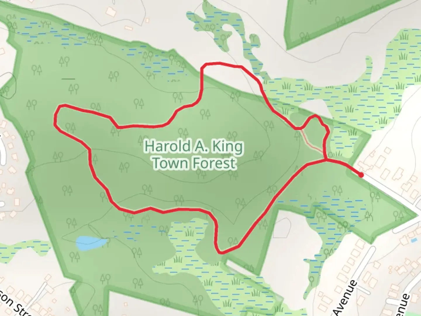 An image depicting the trail Harold A King Town Forest Loop and its surrounding area.
