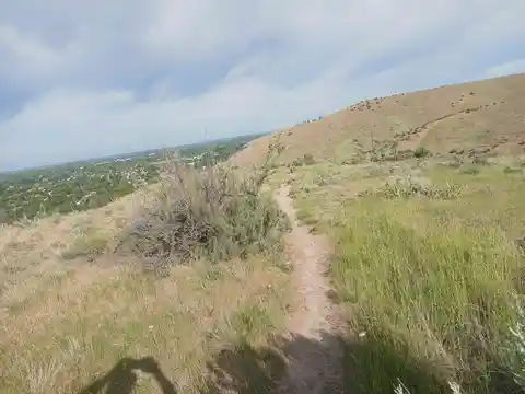 North Pierce Park Lane Loop