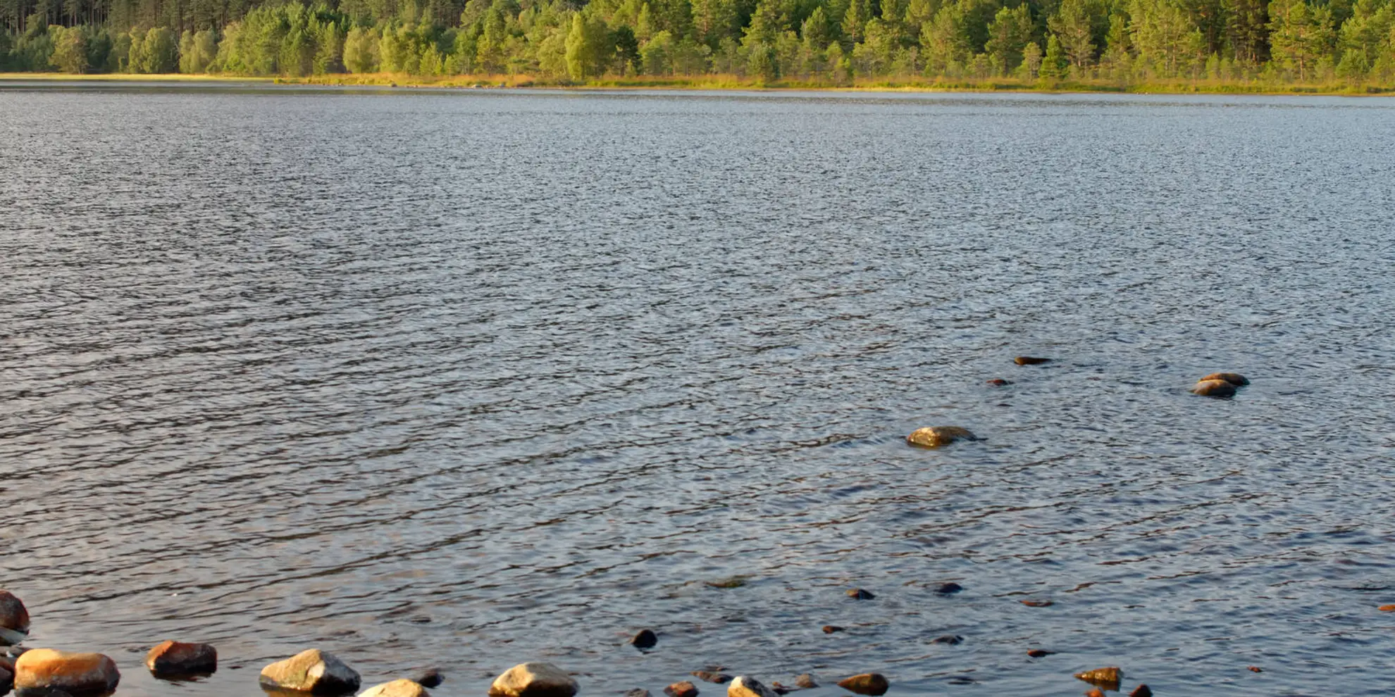 An image depicting the trail Cairn Lochan via the Fiacaill Buttress and its surrounding area.