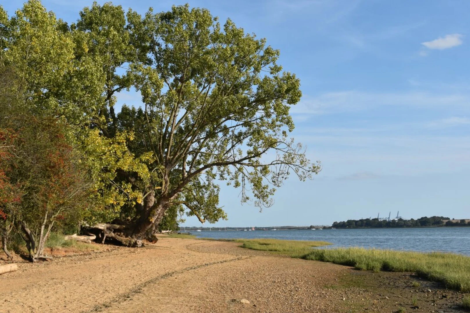 An image depicting the trail Levington and Nacton Shores and its surrounding area.