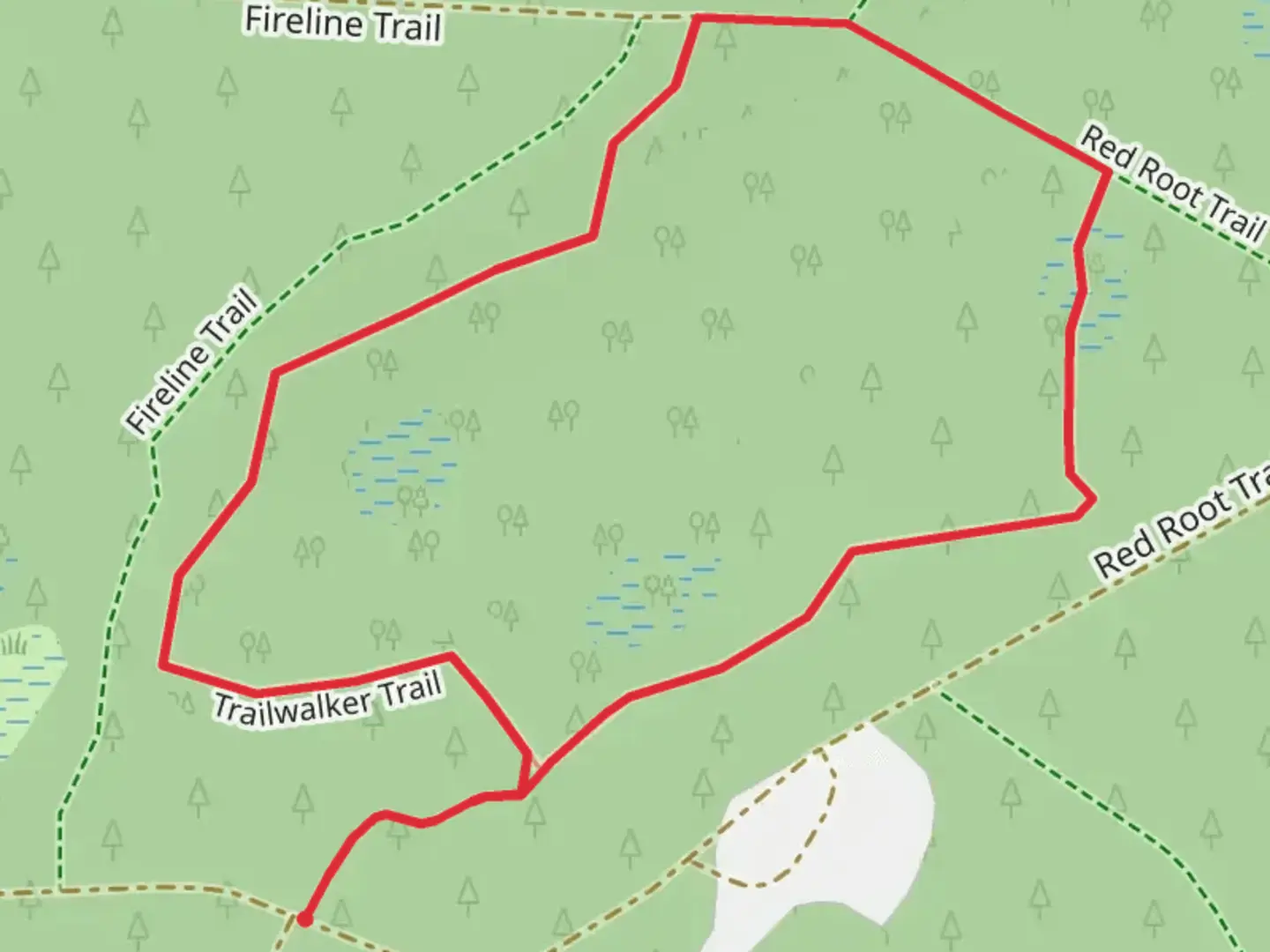 An image depicting the trail Trailwalker and Red Root Loop Trail and its surrounding area.