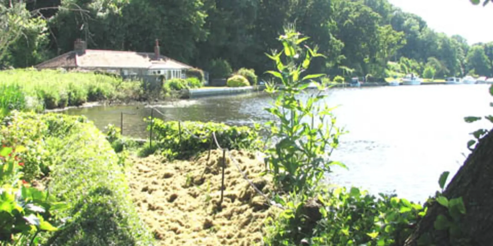 An image depicting the trail Bramerton Riverside Long Walk and its surrounding area.