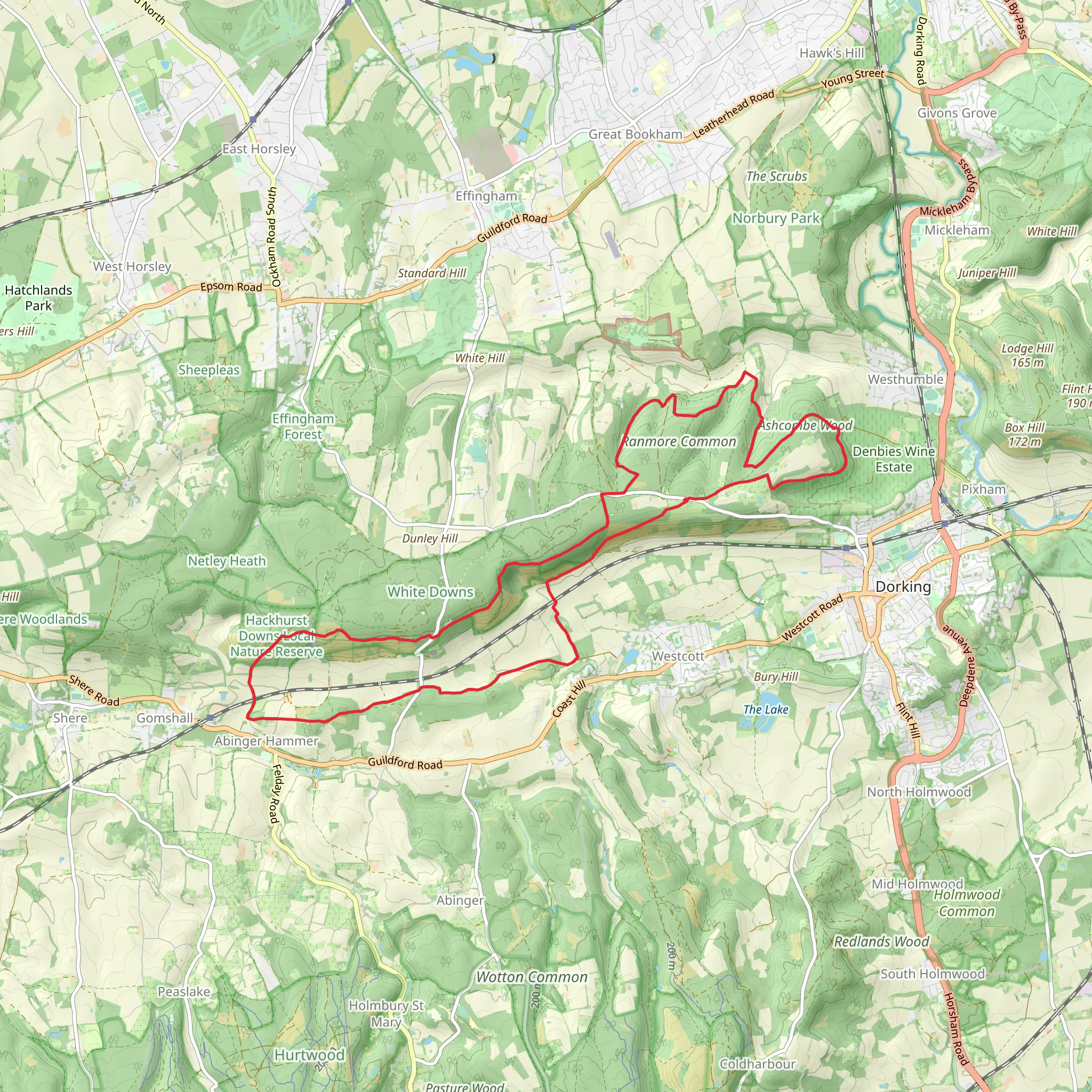 Broomy Downs, Picketts Hole and Ranmore Common via North Downs Way mobile static map