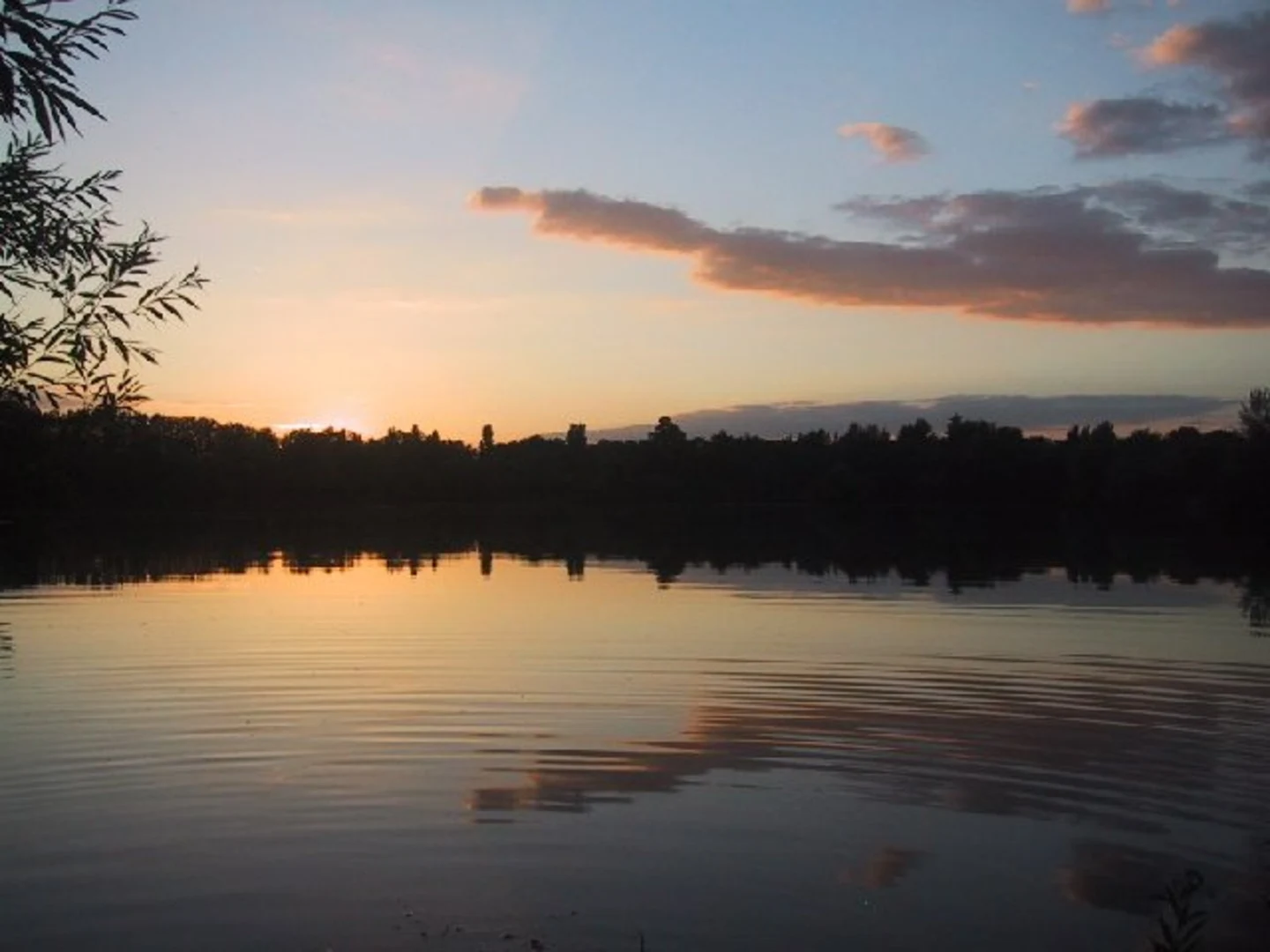An image depicting the trail Thrupp Lake and Bullfield Lake Loop and its surrounding area.