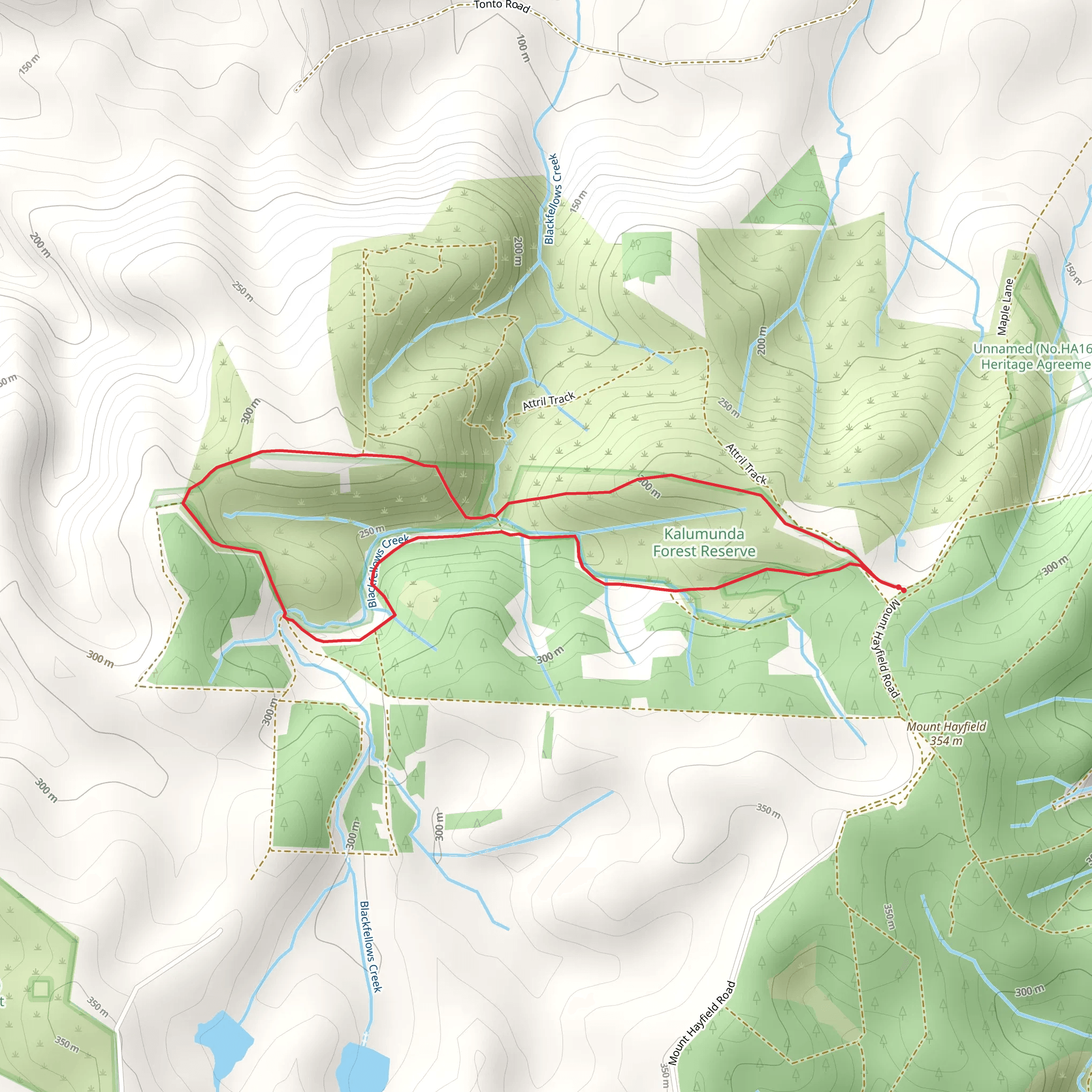 Mount Hayfield Track mobile static map