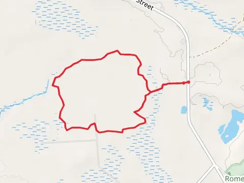 West Thomas Street Loop