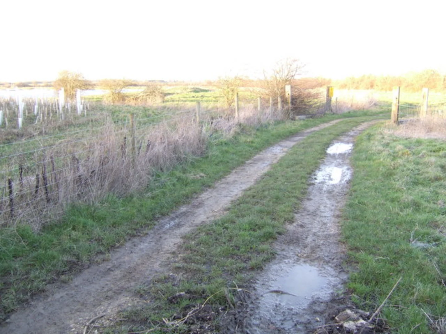 An image depicting the trail Tar Lakes and Tar Wood Loop and its surrounding area.