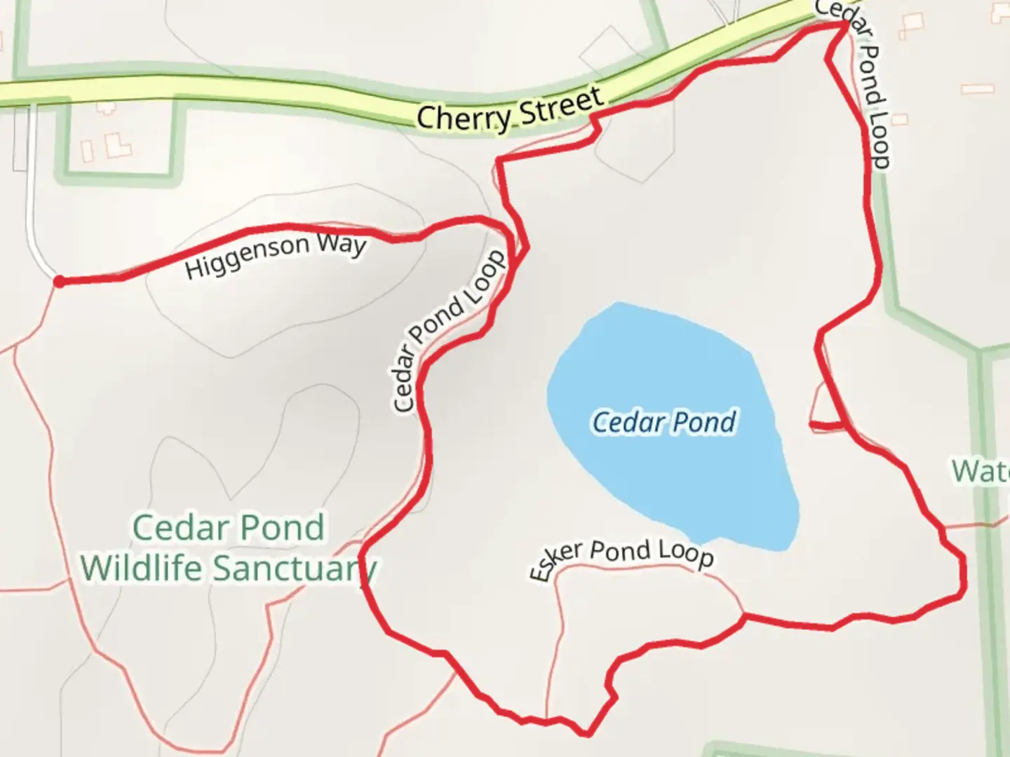 An image depicting the trail Cedar Pond Loop Trail from Cherry Street and its surrounding area.