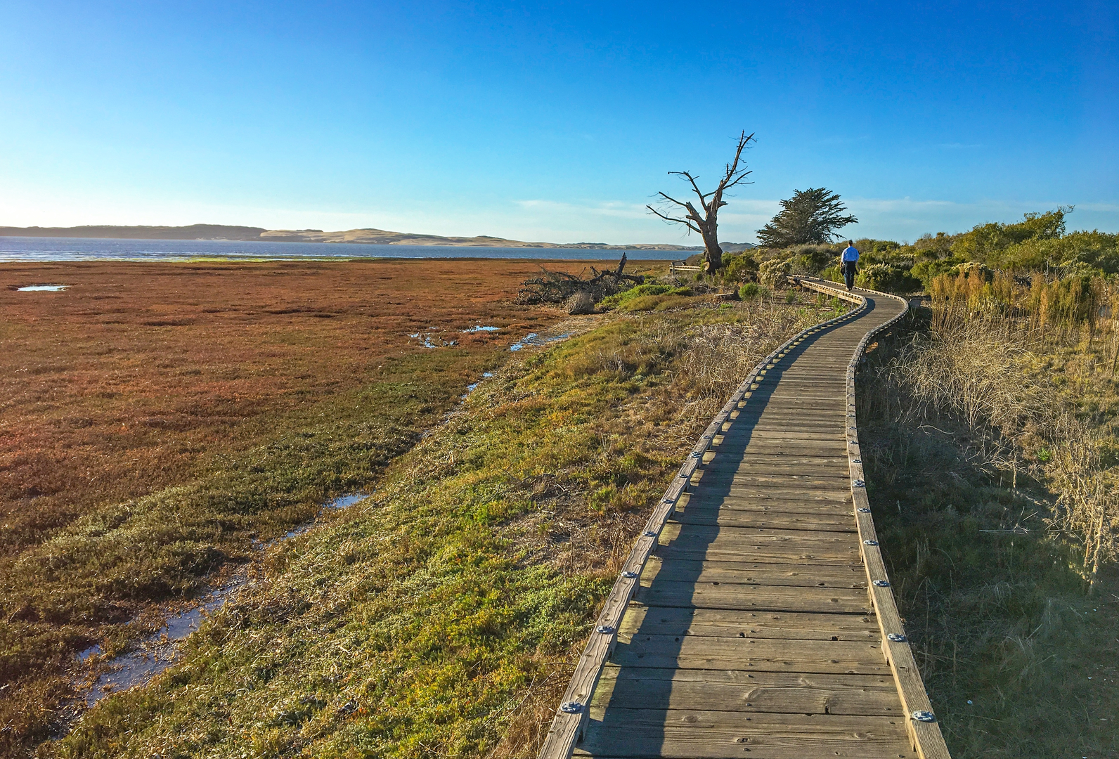 An image depicting the trail Park Ridge Trail Loop and its surrounding area.