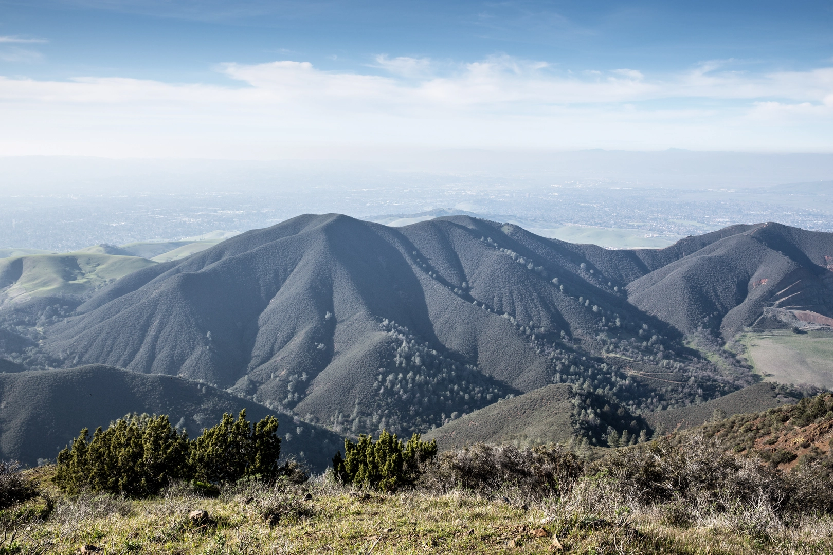 An image depicting the trail George Cardinet Back Creek and Back Creek Trail and its surrounding area.